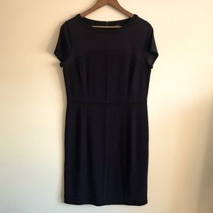 Navy Ann Taylor Dress
